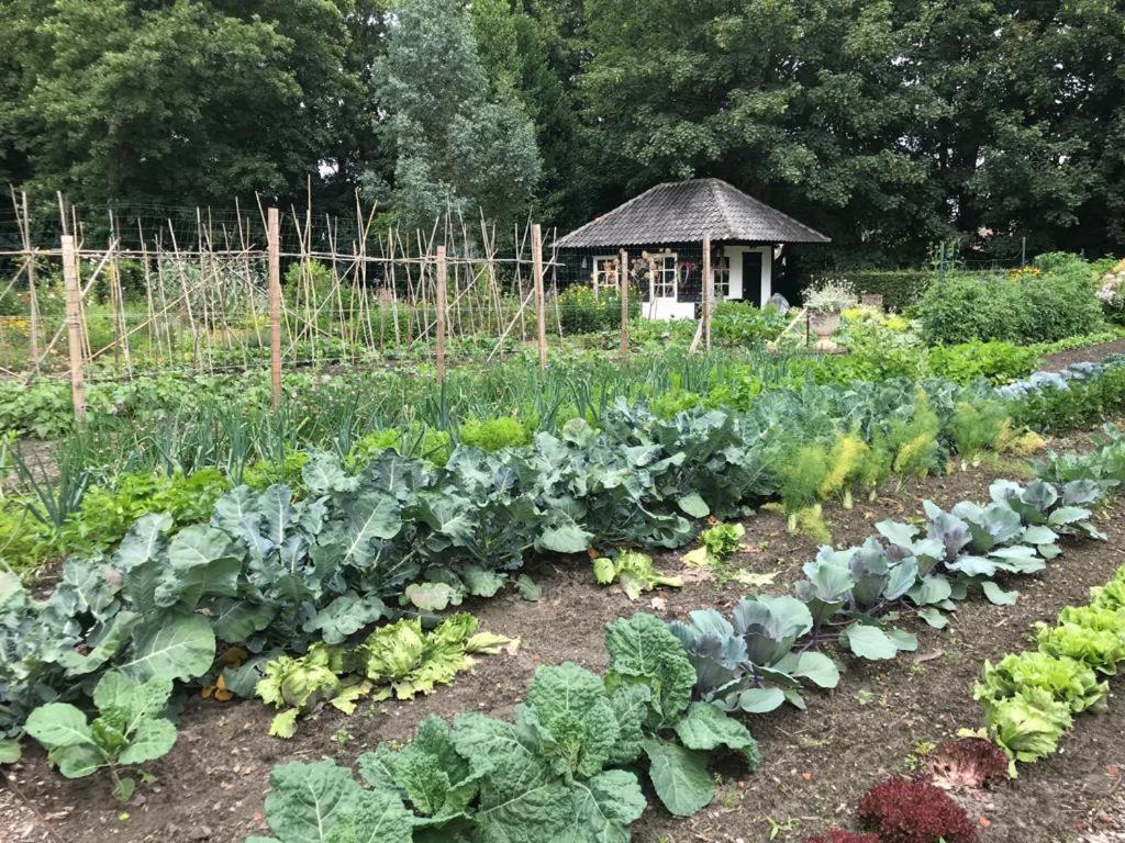 Het Wagenhuis Loon op Zand Екстериор снимка